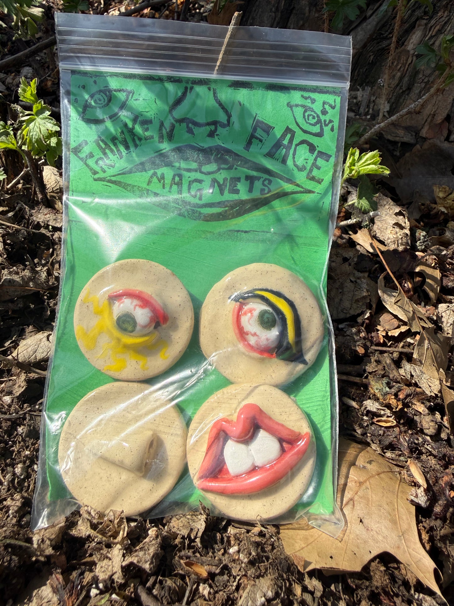 Franken Face Magnets pk 12