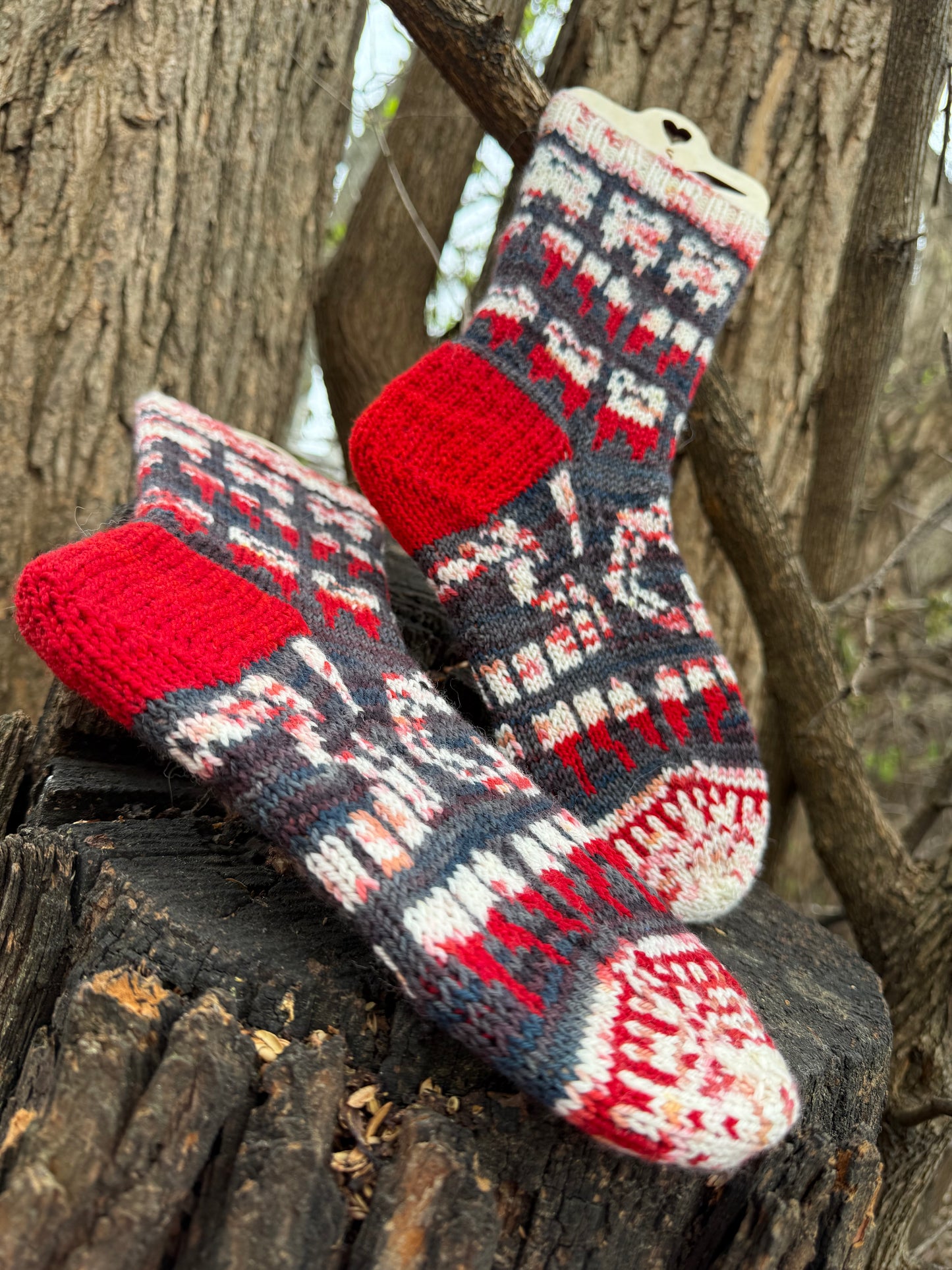 Teeth Toes Socks