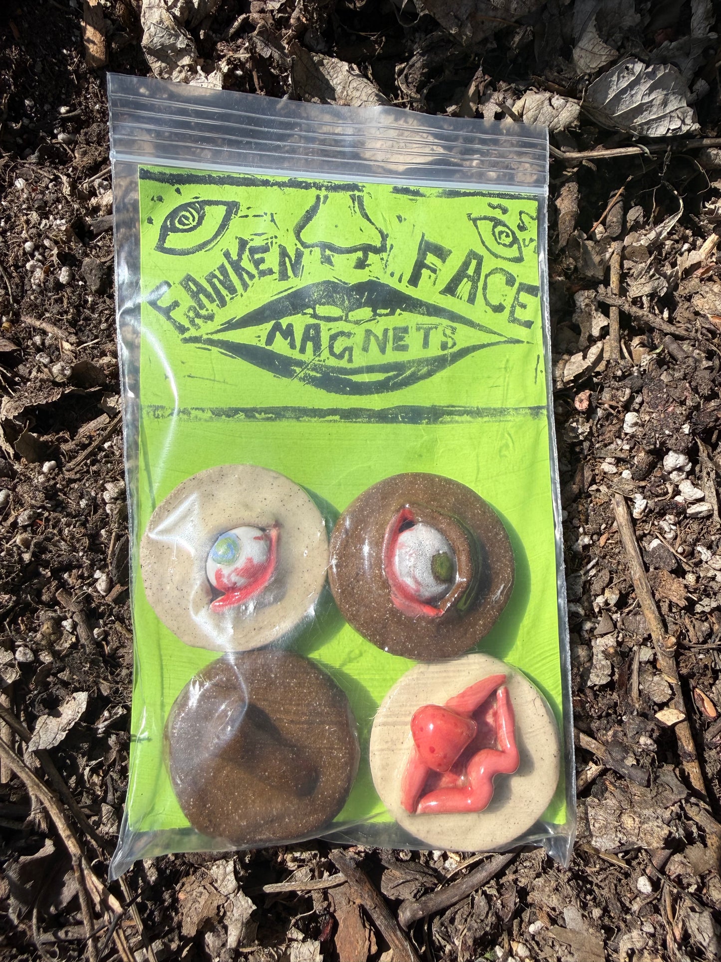 Franken Face Magnets pk 1