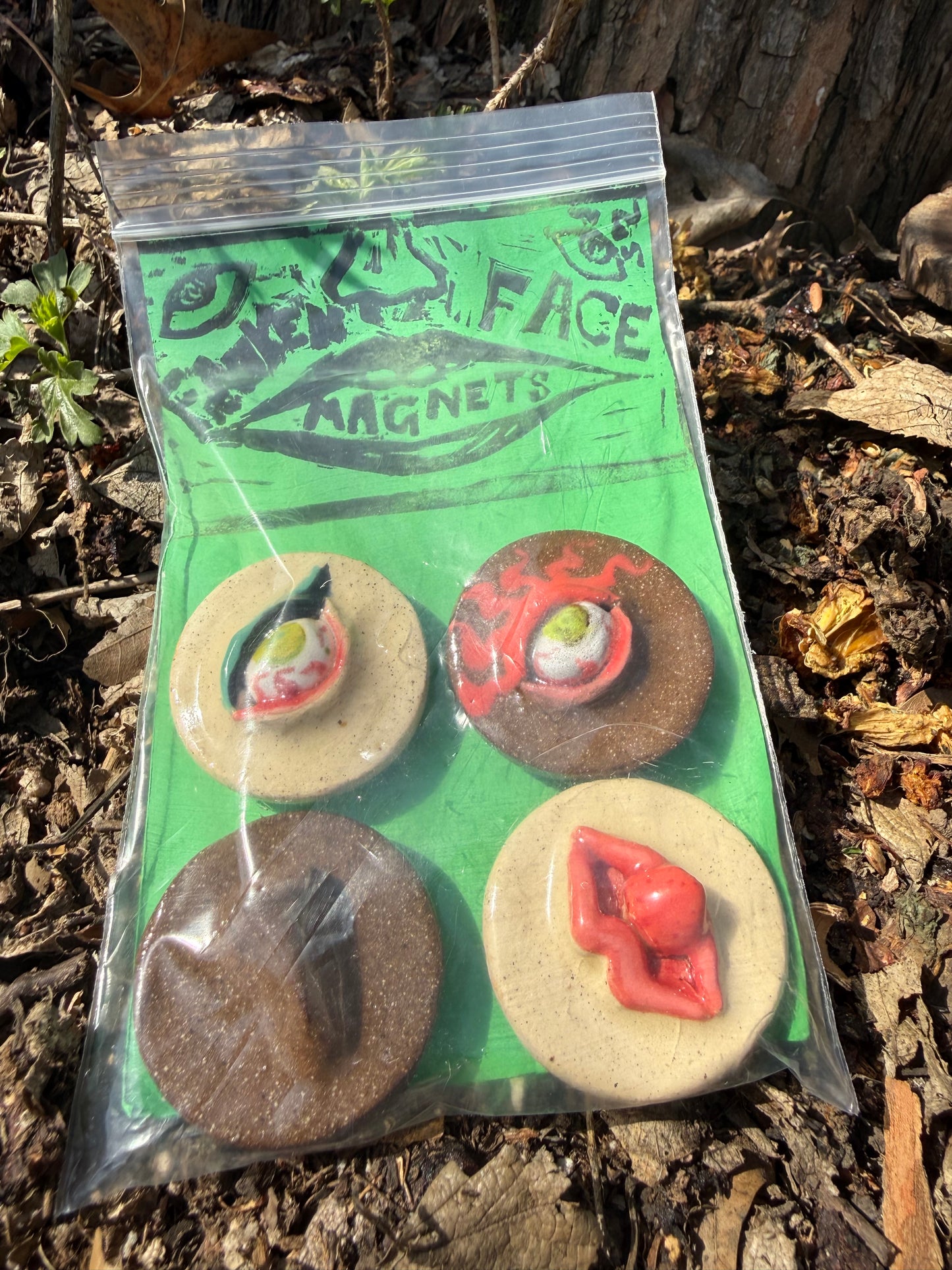 Franken Face Magnets pk 8