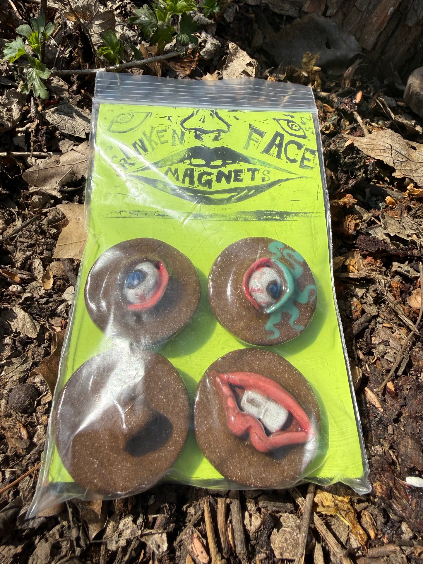 Franken Face Magnets pk 16