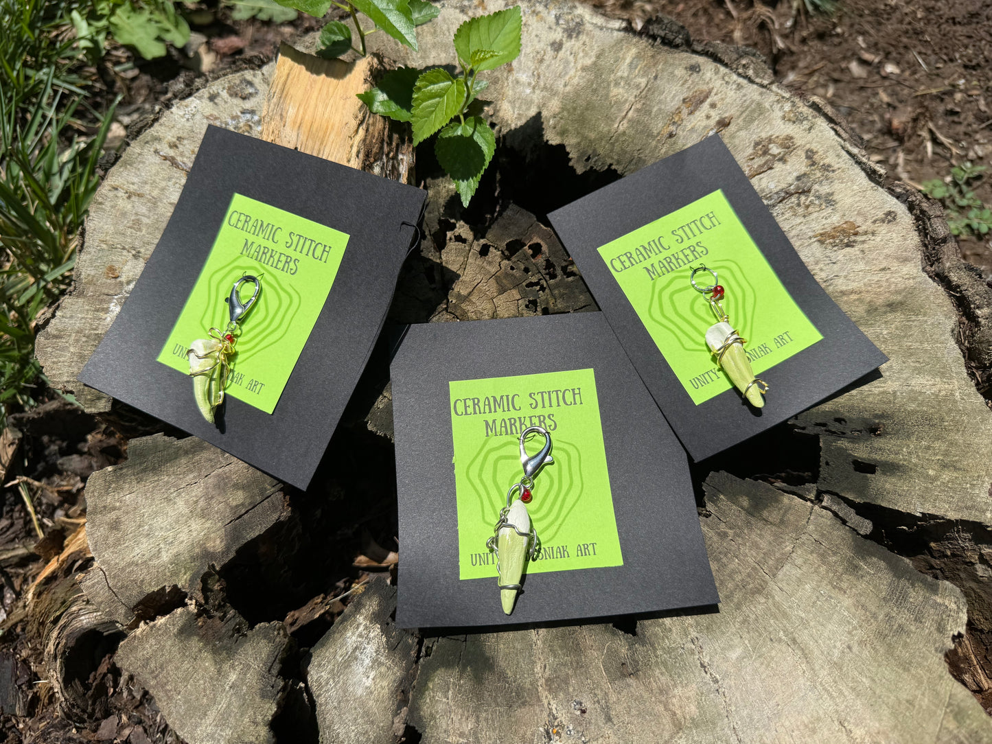 Mystery Notion Bags!