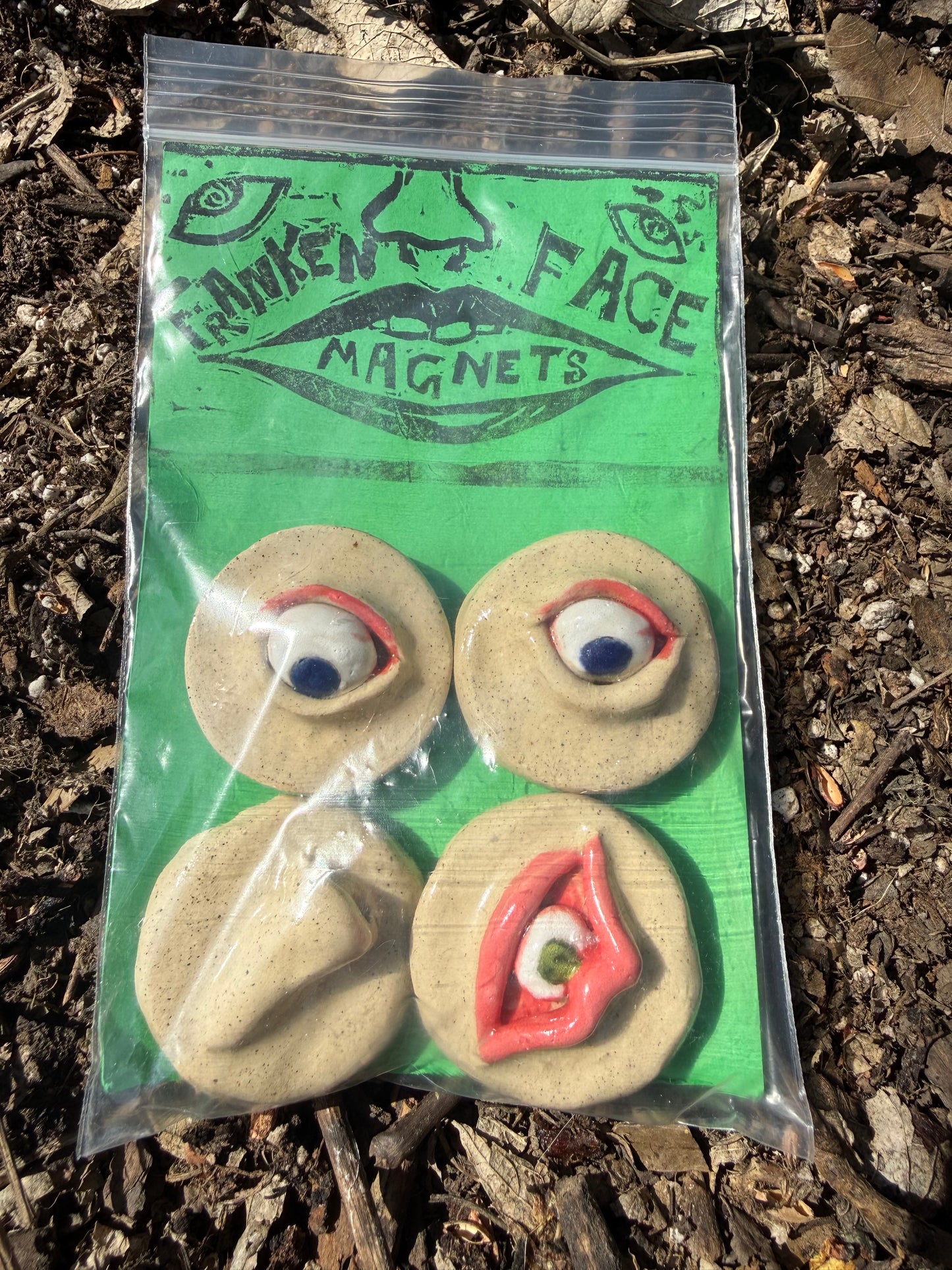 Franken Face Magnets pk 9