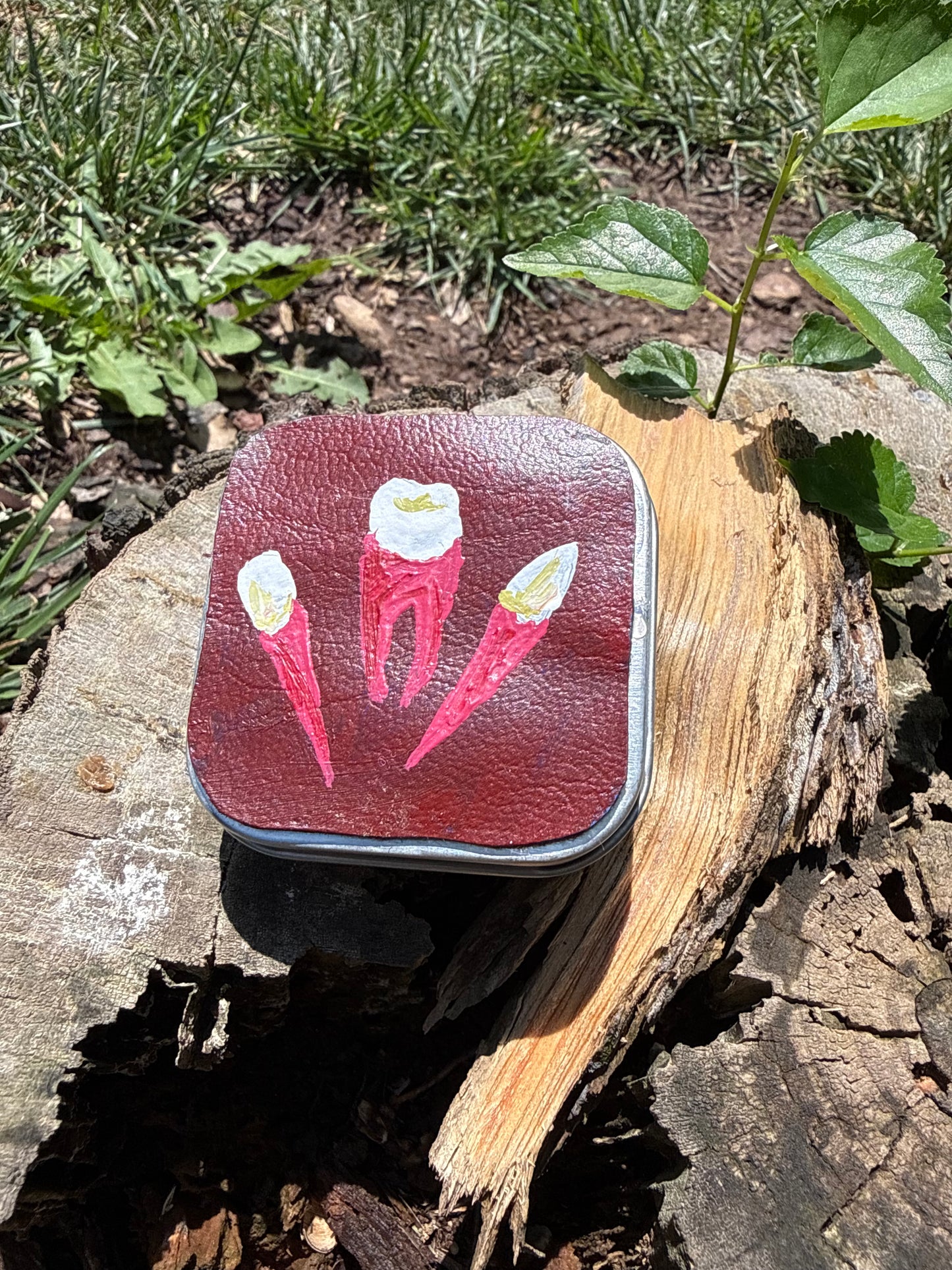 Hand-Painted Notion Tins