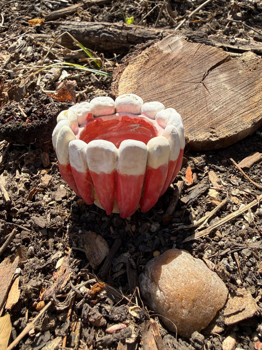 Bite It Back - Cup 5