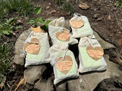 Mystery Notion Bags!