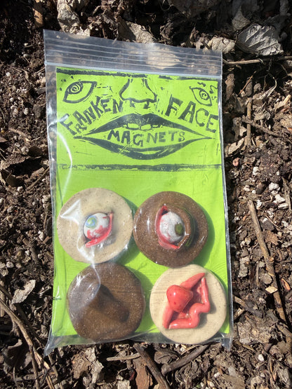 Franken Face Magnets pk 1