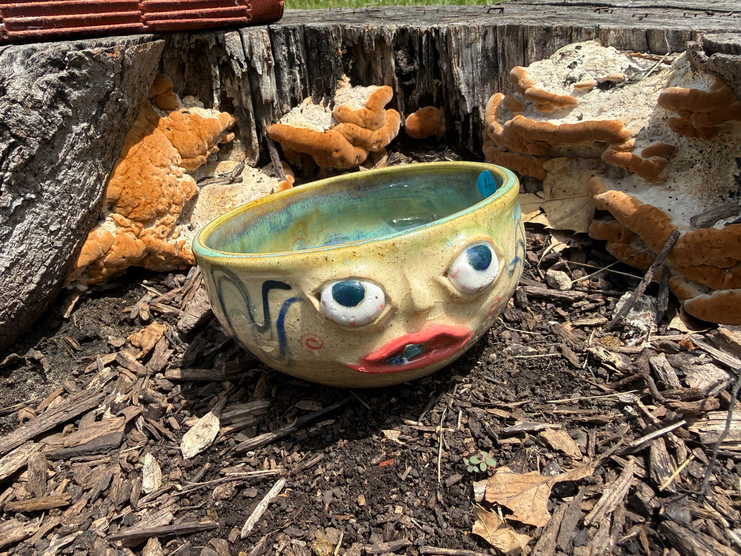 Face Yarn Bowl