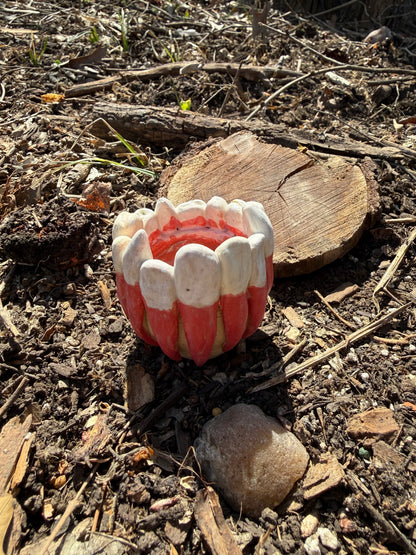 Bite It Back - Cup 2