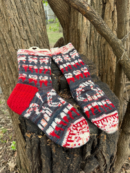 Teeth Toes Socks