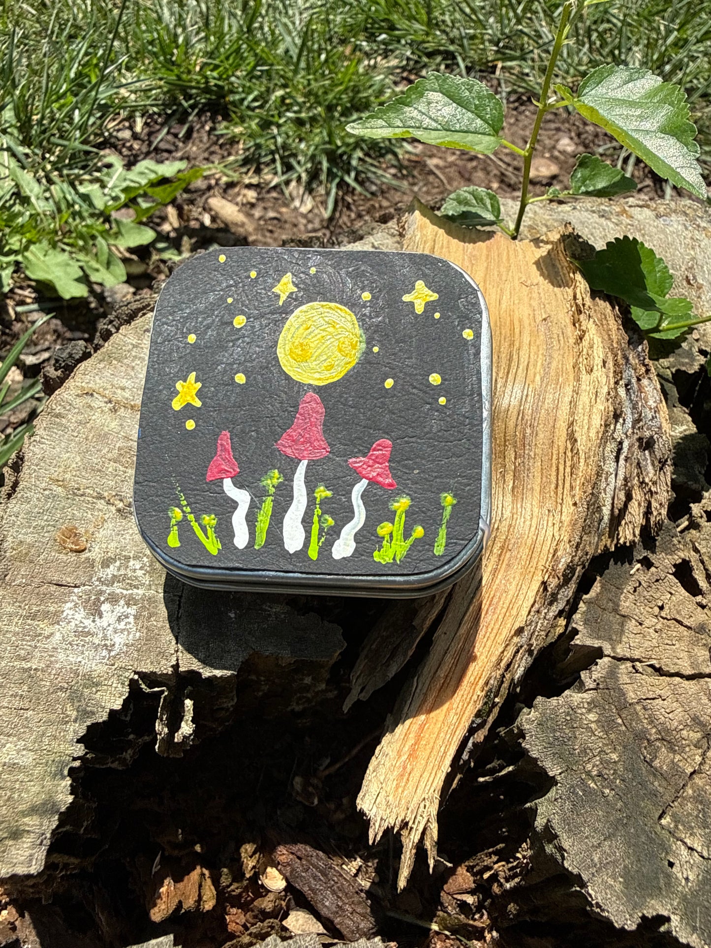 Hand-Painted Notion Tins