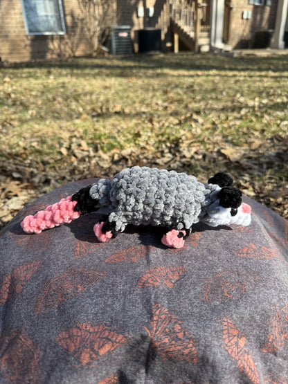 Baby opossum