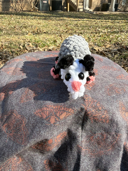 Baby opossum