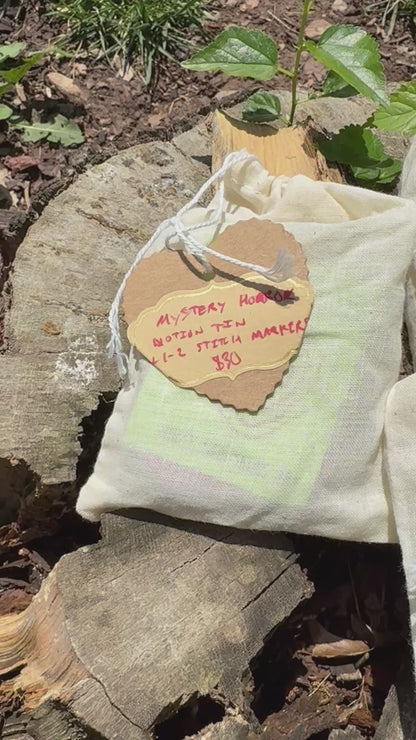Mystery Notion Bags!